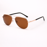 Aviator One Sunglasses